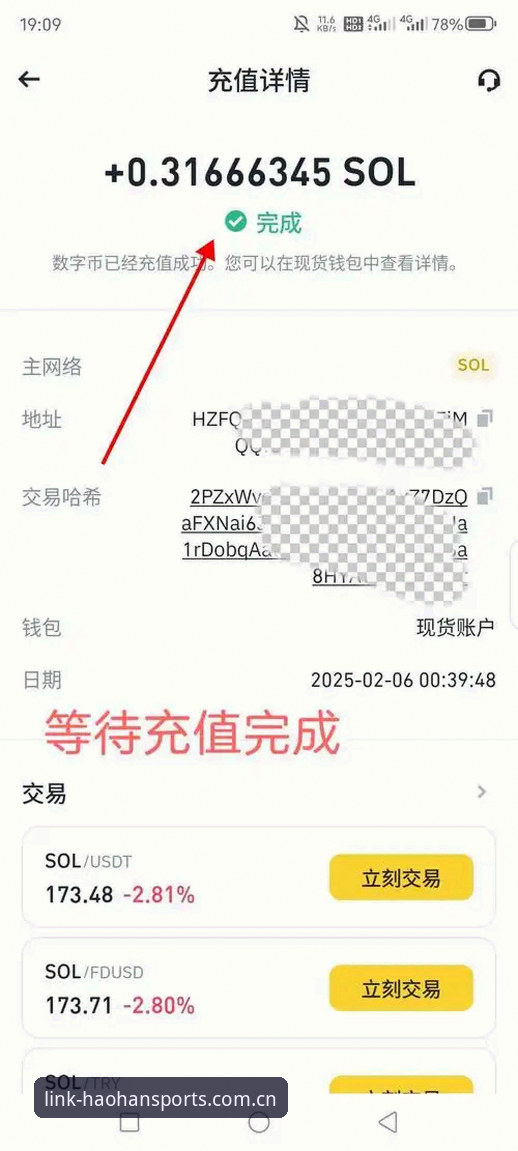 揭秘浩瀚体育网页版推荐背后的真实体验：资深用户深度解析官方入口与APP下载全攻略